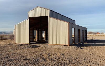 Aesthetics and Customization: Personalizing Metal Barns for Visual Appeal