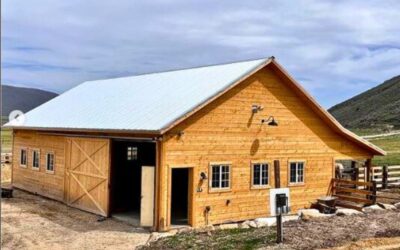 Pole Barns for Versatile Solutions for Modern Farms