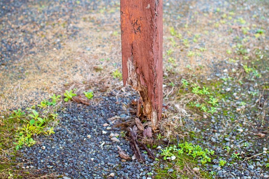 Barn Posts Rot