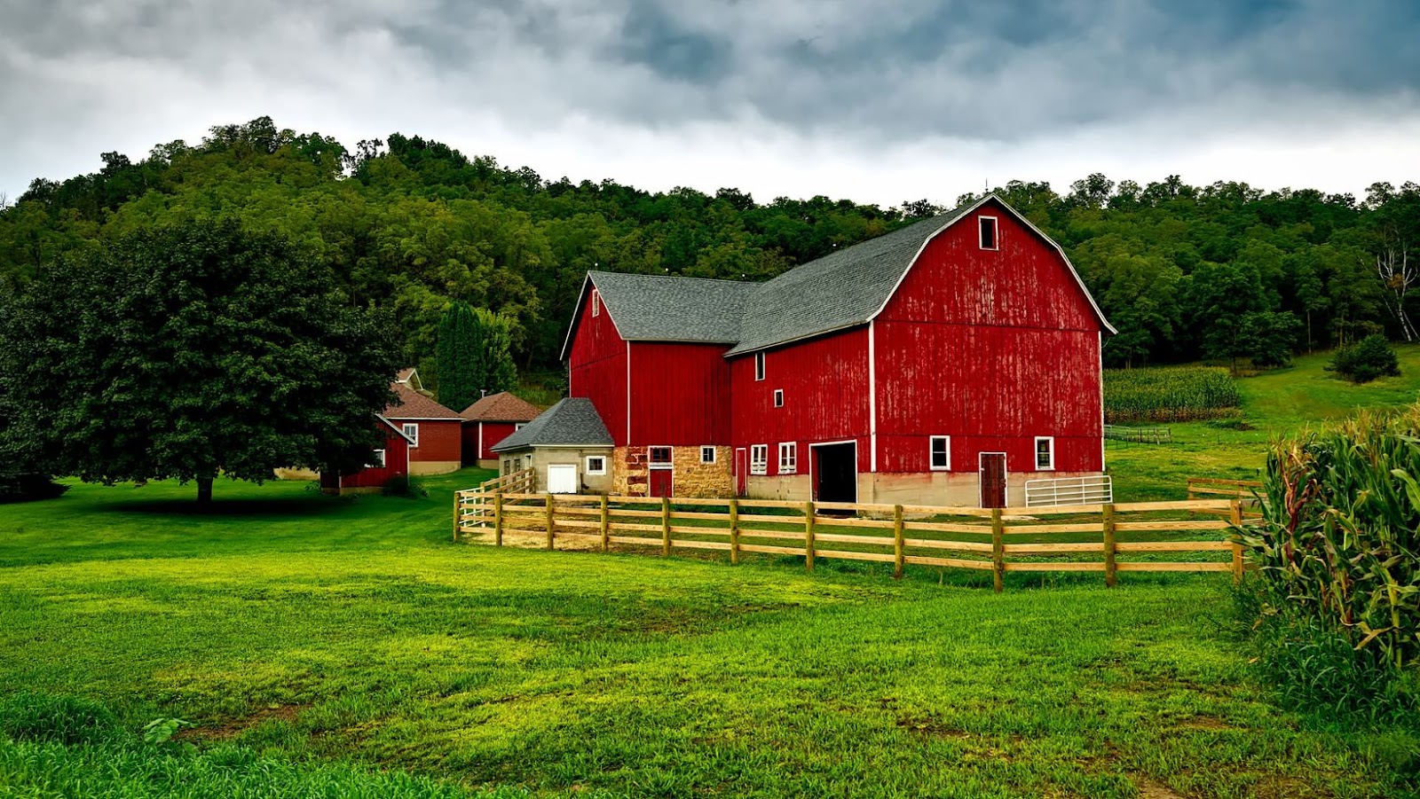 customized barn