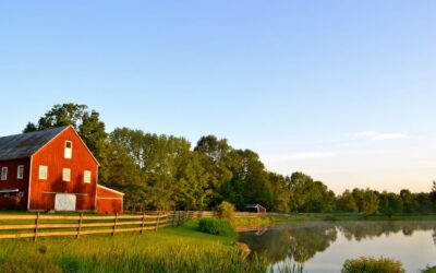 Know What to Expect with Your Utah Pole Barn Build